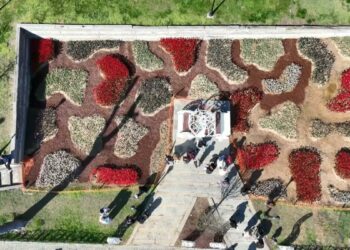 İstanbul'da lale zamanı; tarihi park ve korulara 3 milyon 580 bin lale dikildi