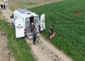 Kozan’da Avcı, Köpeği ve Irk Standartları Yarışması
