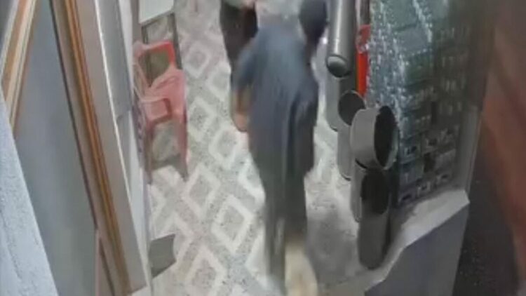 Köpek saldırısına parmağı koptu; o anlar kamerada