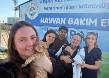Bakımevinde tedavileri tamamlanan engelli kedileri, anne ve kızı sahiplendi