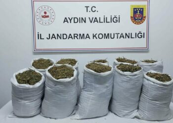 Aydın'da uyuşturucu operasyonu; 2 gözaltı