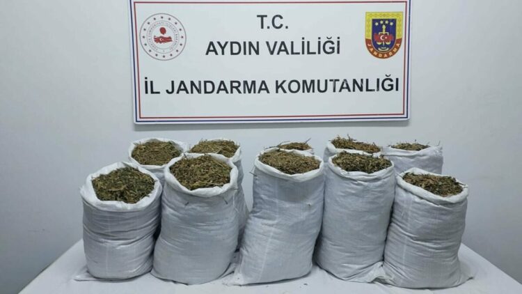 Aydın'da uyuşturucu operasyonu; 2 gözaltı
