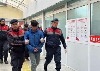 Bağ evinde baltalı-kazmalı cinayette 2 sanığa hapis cezası