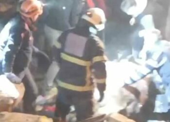 Kastamonu'da ahırın çatısı çöktü; 4 büyükbaş öldü