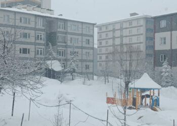 Bitlis’te kar yağışı