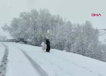 Karlıova’da kar yağışı