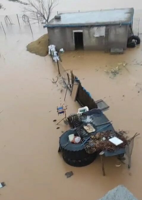 Siirt’te sağanak nedeniyle dere taştı, ev ve arazileri su bastı