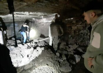 Sağanak nedeniyle çöken ağılda 6 keçi öldü