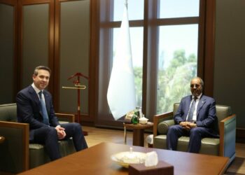 Enerji ve Tabii Kaynaklar Bakanı Alparslan Bayraktar, Somali'de