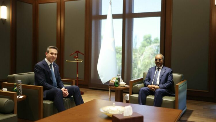 Enerji ve Tabii Kaynaklar Bakanı Alparslan Bayraktar, Somali'de