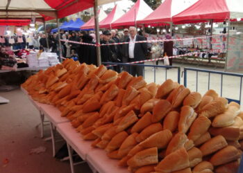 Kocaeli'de festivalde 5 ton hamsi dağıtıldı