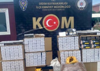 Aydın’da kaçakçılık operasyonu: 1 tutuklama