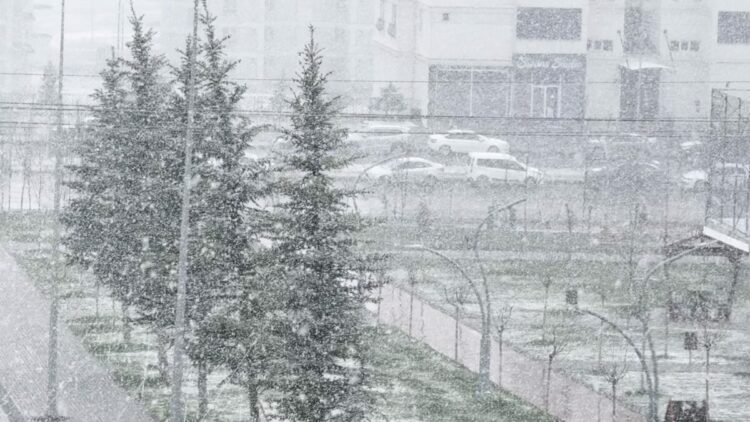 Sivas'ta kar yağışı
