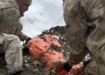 Van ve Hakkari'de 446 kilo uyuşturucu ele geçirildi: 8 gözaltı