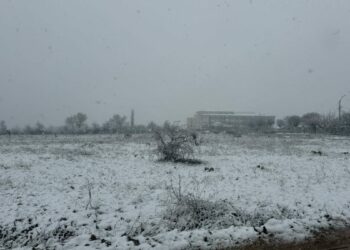 Malatya'da kar yağışı etkili oldu