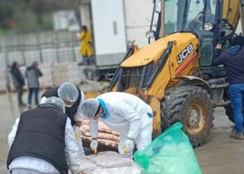 Sakarya'da 32 ton son tüketim tarihi geçmiş tavuk eti ele geçirildi
