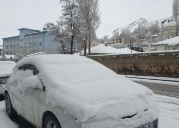 Van Başkale’de kar yağışı