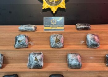 Şanlıurfa'da 8 kilo skunk ele geçirildi