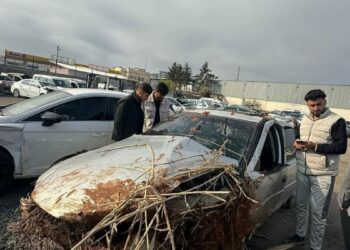 Devrilen otomobilin sürücüsü öldü