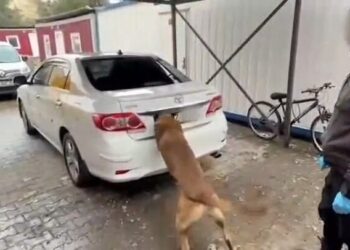 Diyarbakır'da 6 kilo kokain ele geçirildi; 1 tutuklama