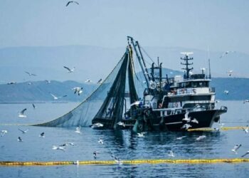 Denizlerde av yasağı 15 Nisan'da başlıyor