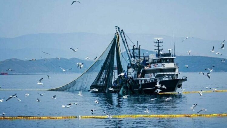 Denizlerde av yasağı 15 Nisan'da başlıyor