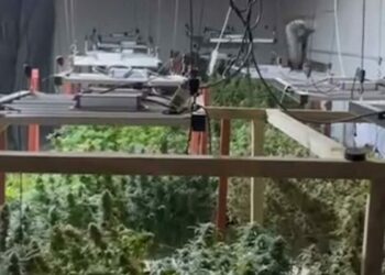 Depoyu Hint keneviri serasına çeviren 2 şüpheli tutuklandı