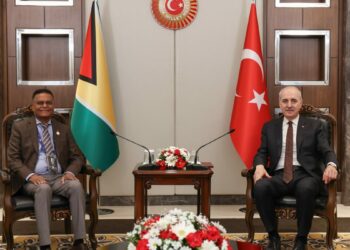 TBMM Başkanı Kurtulmuş, Guyana, Nijer ve Zambiya Meclis Başkanları ile görüştü