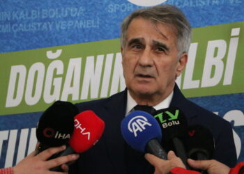 Şenol Güneş: Milli takımın çeyrek finale kadar rahat gelebilecek bir görüntüsü var