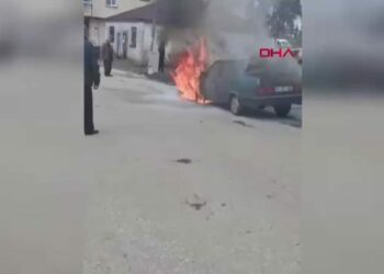 Ordu'da park halindeki otomobilde yangın