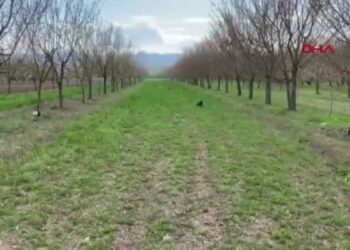 Başkan Bağrı: Don ve buzlanma riski arttı