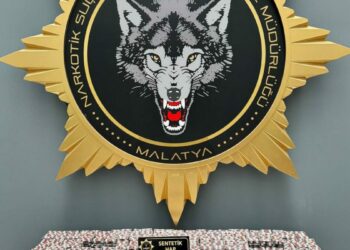 Malatya'da uyuşturucu operasyonuna 2 gözaltı