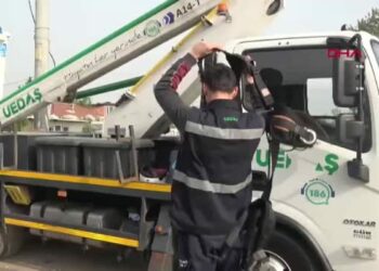 Kuşların yuva yaptığı sokak lambasındaki enerji iptal edilip yeni armatür takıldı