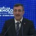 Cumhurbaşkanı Yardımcısı Yılmaz: Bu hepimizin ortak acısı