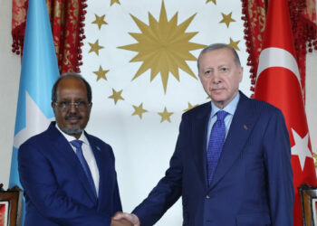 Cumhurbaşkanı Erdoğan, Somali Cumhurbaşkanı Hasan Şeyh Mahmud ile bir araya geldi