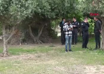 Ağaç altında hareketsiz bulundu; kimliği yüz tanıma sistemiyle belirlendi