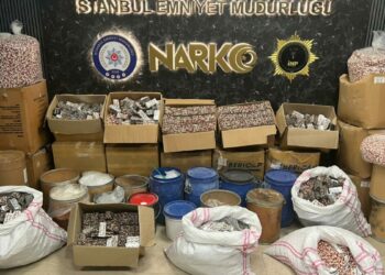 Büyükçekmece'de uyuşturucu operasyonunda gözaltına alınan 2 şüpheliden 1'i tutuklandı