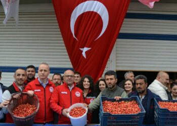 Manisa'da sezonun ilk kirazı 6 bin TL'den satıldı
