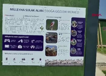 Milleyha, çocuklara ‘doğa okulu’