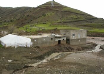 Siirt’te sağanak sele neden oldu; 35 küçükbaş öldü