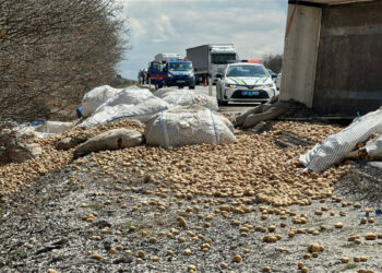 Patates yüklü TIR devrildi