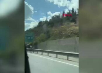 Yön levhasına çarpan otomobilin sürücü yaralandı