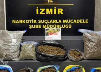 İzmir’de 16,5 kilo skunk ele geçirildi