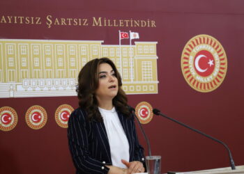 DEM Parti'li Koçyiğit: Sürecin geciktirilmesini doğru bulmuyoruz