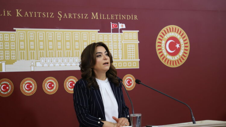 DEM Parti'li Koçyiğit: Sürecin geciktirilmesini doğru bulmuyoruz
