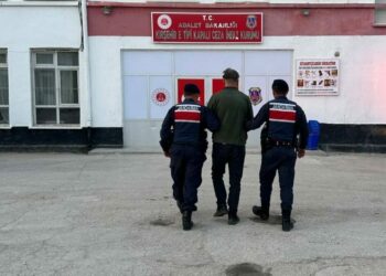 Tüfekle köpeği öldüren şüpheli tutuklandı