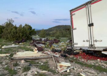Freni boşalan sebze yüklü TIR ağaca çarparak durabildi