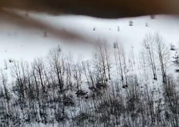 Kartal, dronu kaptı