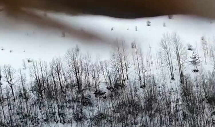 Kartal, dronu kaptı