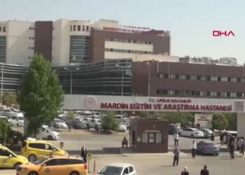 Mardin’de silahlı saldırıya uğrayan çoban öldü